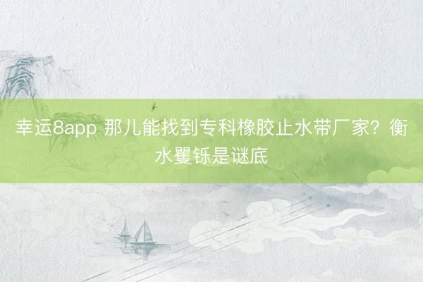 幸運(yùn)8app 那兒能找到專科橡膠止水帶廠家？衡水矍鑠是謎底