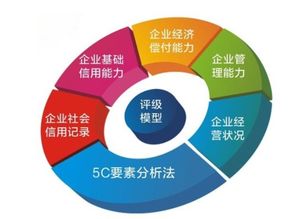 企業(yè)信用評級的科學體系 從調(diào)查到評估的完整流程解析
